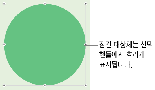 흐리게 표시된 선택 영역 핸들이 있는 잠겨 있는 대상체.