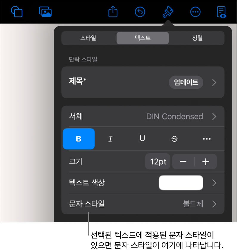 색상 제어기 아래 문자 스타일이 있는 텍스트 포맷 제어기. 문자 스타일 없음이 별표와 함께 표시됨.