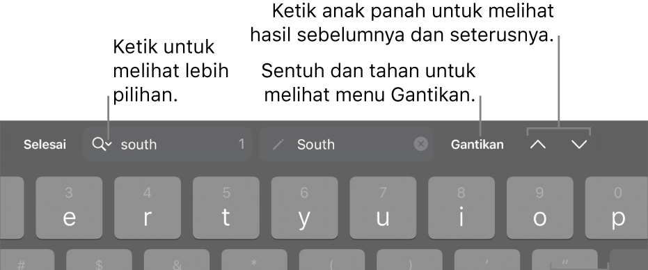 Kawalan Cari & Ganti di atas papan kekunci dengan petak bual ke butnag Pilihan Carian, Ganti, Pergi ke Atas dan Pergi ke Bawah.