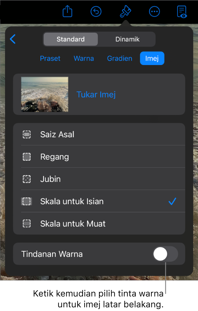 Kawalan Latar Belakang dengan imej disetkan sebagai latar belakang slaid dan kawalan Tindihan Warna di bahagian bawah.