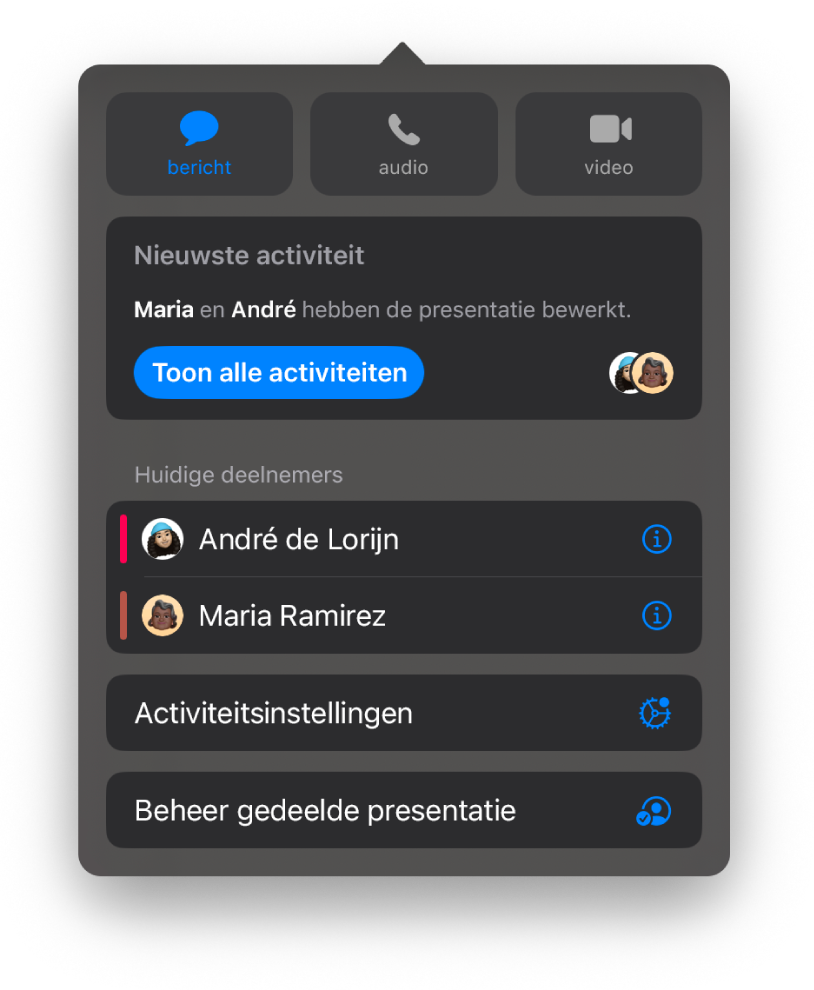 Het samenwerkingsmenu met daarin de namen van mensen die samen aan de presentatie werken.