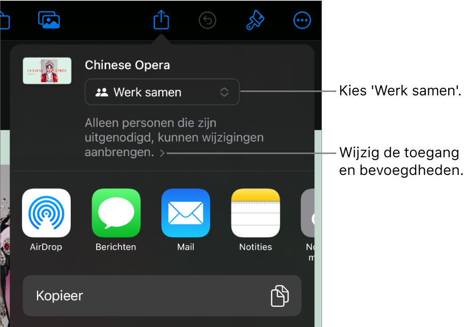 Het Deel-menu waarin bovenin 'Werk samen' is geselecteerd. Eronder staan toegangsinstellingen en bevoegdheden.