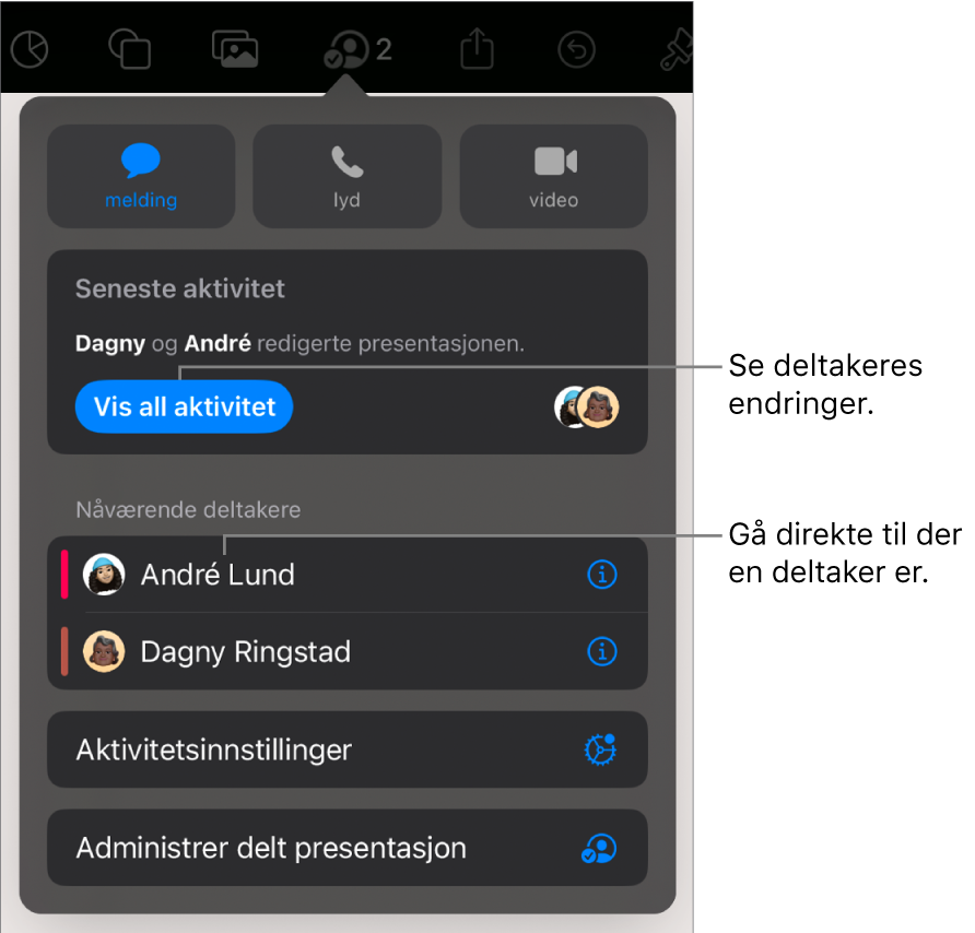 Samarbeidsmenyen, som viser gjeldende deltakere.
