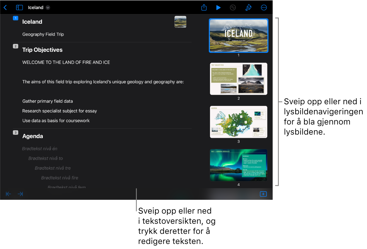 Disposisjonsvisning med tekstdisposisjonen på venstre side av skjermen, og den vertikale lysbildenavigeringen på høyre side.