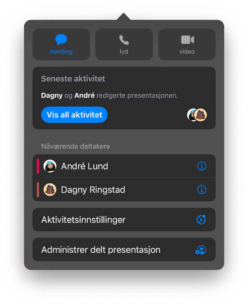 Samarbeid-menyen, som viser navnene til personer som samarbeider om presentasjonen.