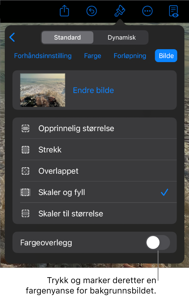 Bakgrunn-kontroller med et bilde angitt som lysbildebakgrunn og Fargeoverlegg-kontrollen nederst.