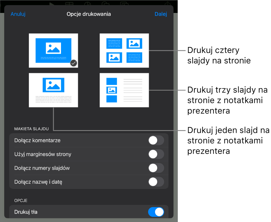 Opcje makiety wydruku.