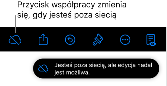 Przyciski znajdują się u góry ekranu; przycisk współpracy wyświetlany jest jako chmura przekreślona ukośną linią. Alert zawierający następującą informację: Brak połączenia z siecią, ale edycja nadal jest możliwa.