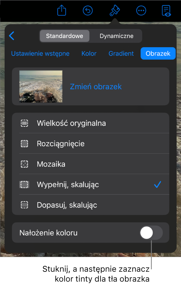 Narzędzia tła z obrazkiem ustawionym jako tło slajdu oraz na dole narzędzie Nałożenie koloru.