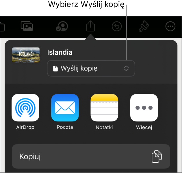 Menu udostępniania z wybraną opcją Wyślij kopię (na górze).