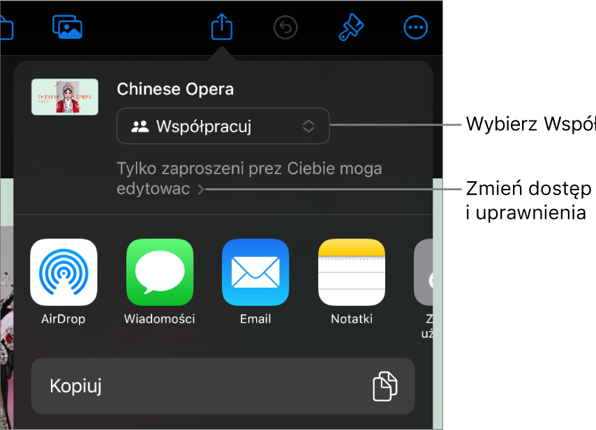 Menu udostępniania z opcją Współpracuj wybraną u góry oraz ustawieniami dostępu i uprawnień poniżej.