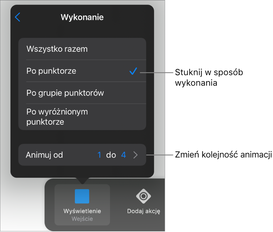 Opcje wykonania w panelu Wejście.