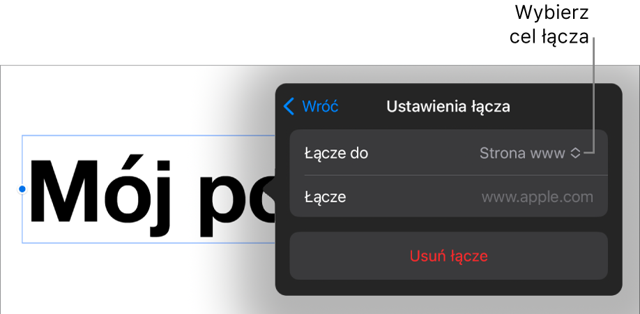 Narzędzia ustawień łącza; wybrane jest narzędzie Strona www; na dole znajduje się przycisk Usuń łącze.