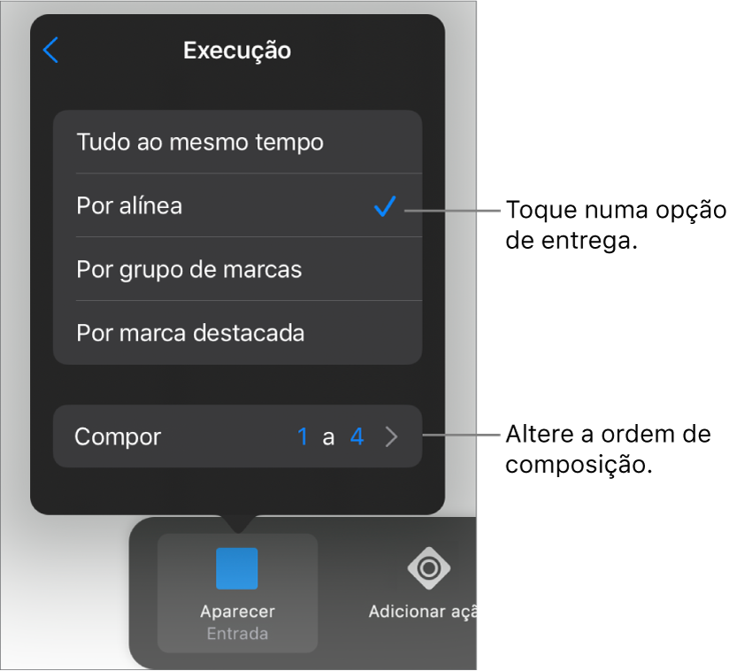 Opções de execução no painel Entrada.