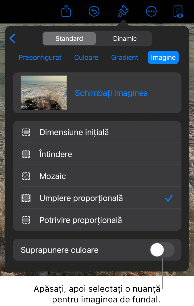 Comenzile Fundal cu o imagine configurată drept fundal al diapozitivului și comanda Suprapunere culoare în partea de jos.