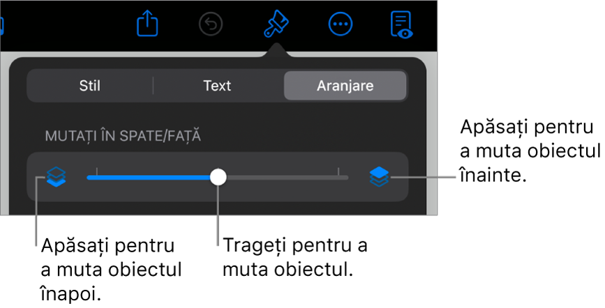 Butonul Deplasare înapoi, butonul Deplasare înainte și glisorul pentru straturi.