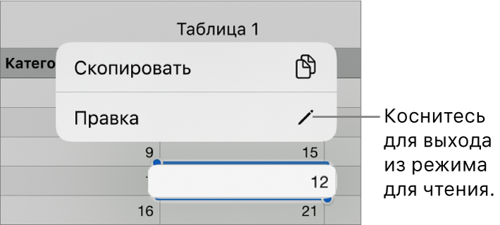Выбрана ячейка таблицы; над ней отображается меню с кнопками «Скопировать» и «Правка».