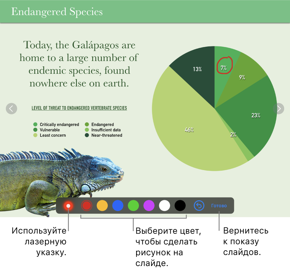Изображение слайда в слайде с лазерной указкой и элементами выбора цветов.