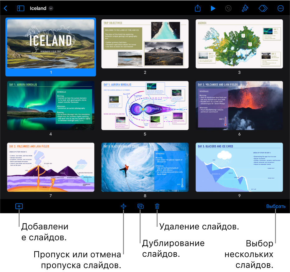 В режиме светового стола в нижней части экрана показаны кнопки для добавления, пропуска, дублирования и удаления слайдов, а также выбора нескольких слайдов.