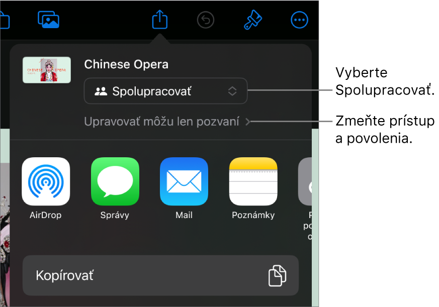 Menu Zdieľať s vybranou možnosťou Spolupracovať navrchu a pod ňou sa nachádzajú nastavenia prístupu a povolení.