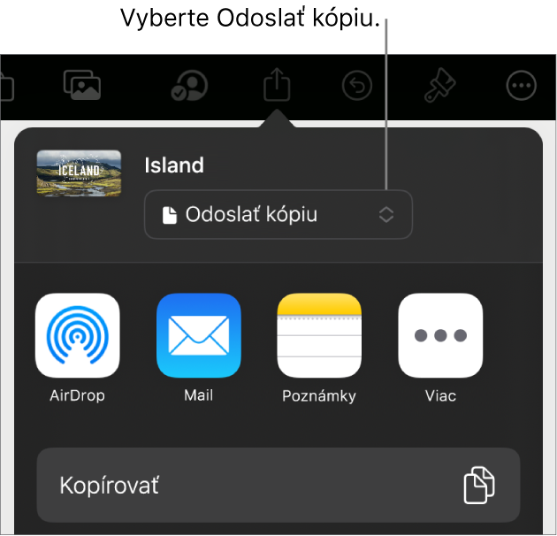 Menu Zdieľať s vybranou možnosťou Odoslať kópiu vo vrchnej časti.