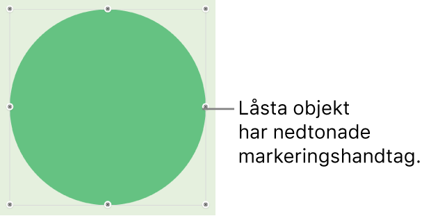 Ett låst objekt med nedtonade markeringshandtag.