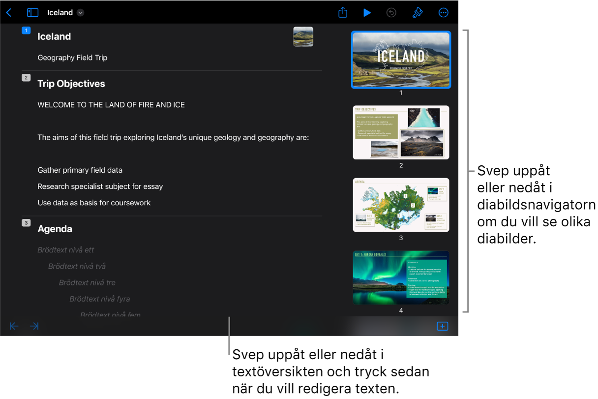 Översiktsvy med textöversikten på vänstra sidan av skärmen och den vertikala diabildsnavigatorn på högra sidan.