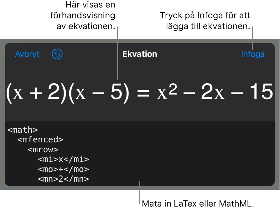 Dialogrutan Ekvation visar en ekvation som skrivits med MathML-kommandon och en förhandsvisning av formeln ovanför den.