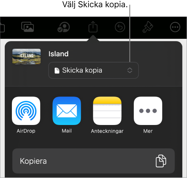Delningsmenyn med Skicka kopia markerat högst upp.