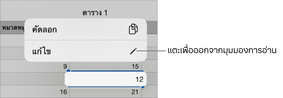 เซลล์ตารางถูกเลือกอยู่ และด้านบนเป็นเมนูที่มีปุ่มคัดลอกและปุ่มแก้ไข