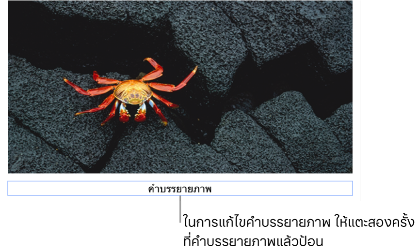 คำบรรยายภาพในที่พัก “คำบรรยายภาพ” แสดงขึ้นมาด้านล่างรูปภาพ โดยเส้นกรอบสีน้ำเงินรอบช่องคำบรรยายภาพแสดงว่าถูกเลือก