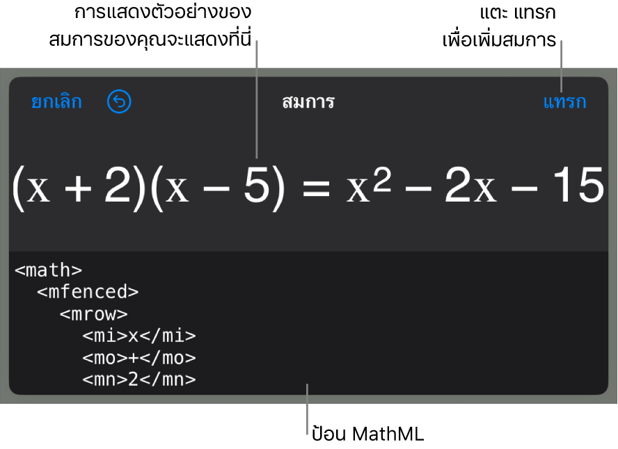 หน้าต่างโต้ตอบสมการ ที่แสดงสมการที่เขียนโดยใช้คำสั่ง MathML และการแสดงตัวอย่างของสูตรด้านบน