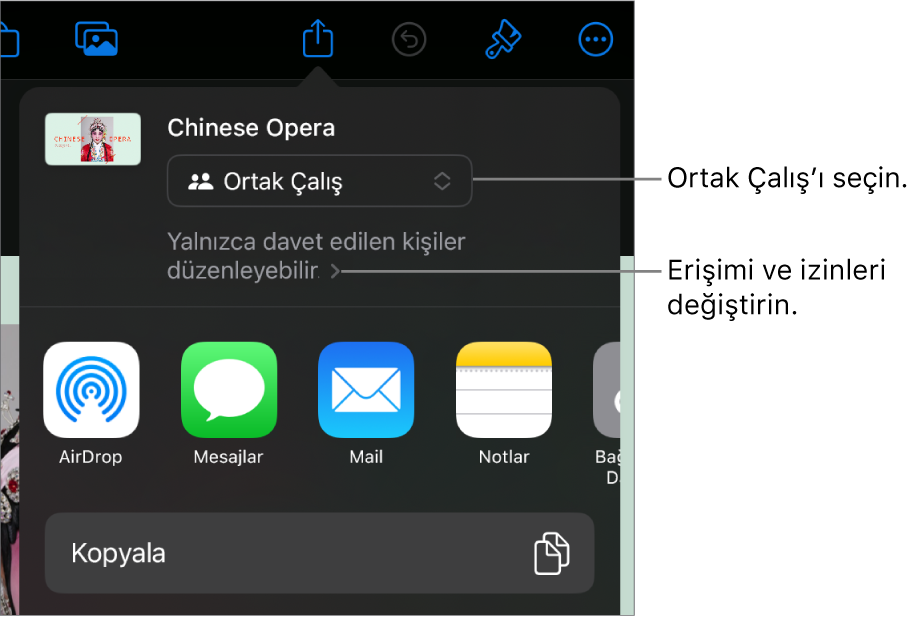 En üstte Ortak Çalış seçili olan Paylaş menüsü ve altında erişim ve izin ayarları.