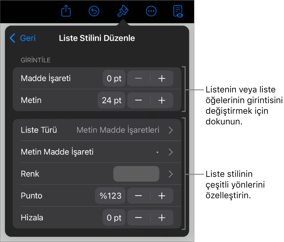 Listenin türünü ve görünüşünü düzenleme denetimleriyle Liste Stilini Düzenle menüsü.