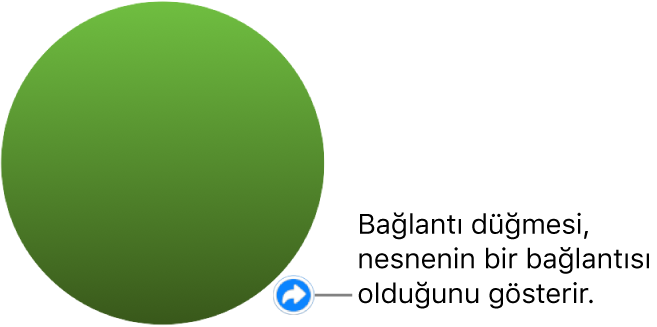 Zincirli yeşil daire düğme, nesnenin bir bağlantısı olduğunu belirtir.