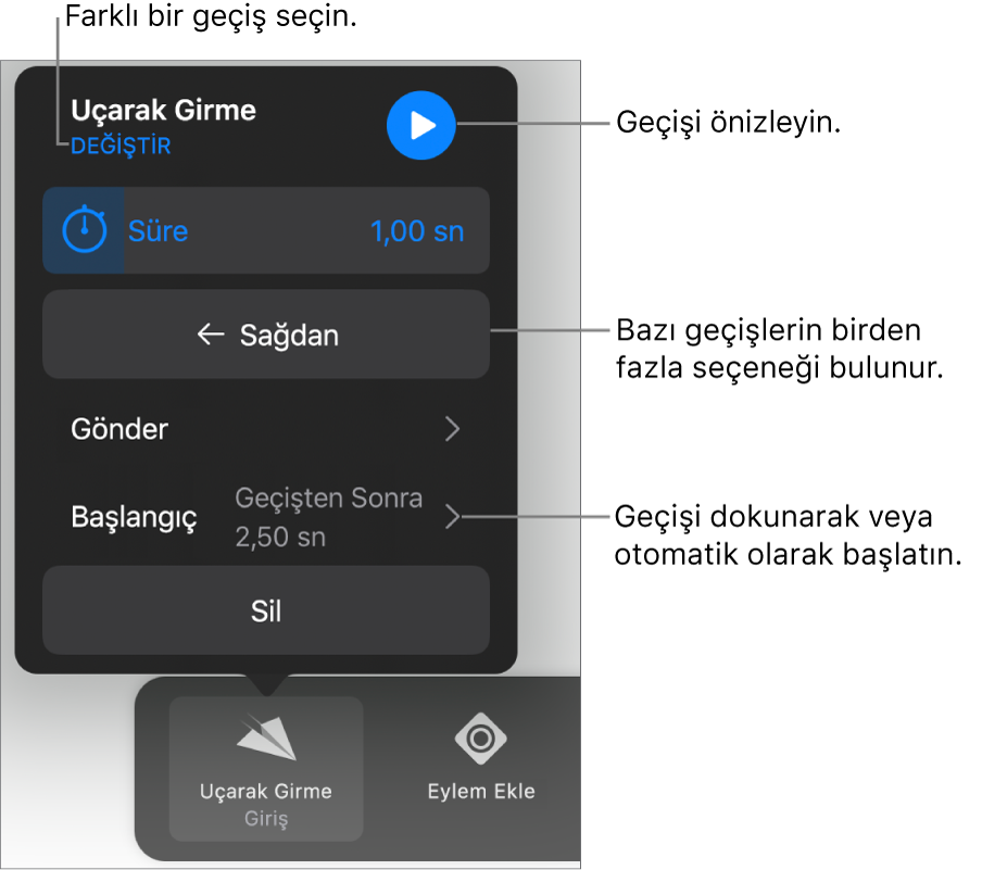 Geçişleri değiştirmek için Seçenekler bölümündeki denetimler.