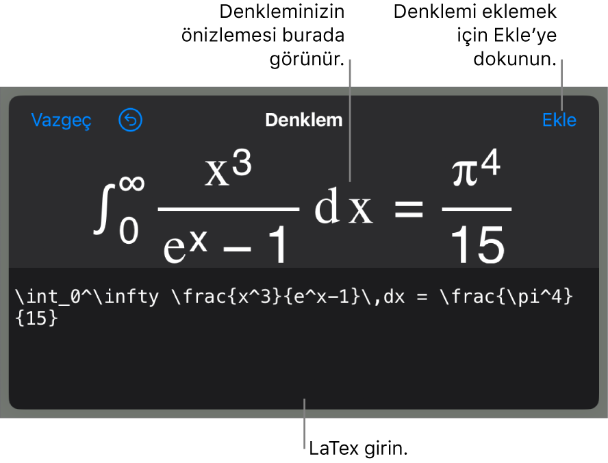 LaTeX komutları kullanılarak yazılmış bir denklemi ve onun üstünde formülün önizlemesini gösteren Denklem sorgu kutusu.
