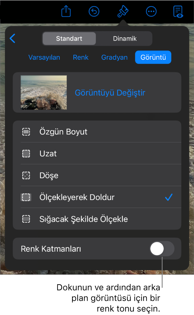 Arka Plan denetimleri, slayt arka planı olarak ayarlanmış bir görüntü ve en alttaki Renk Kaplama ile.