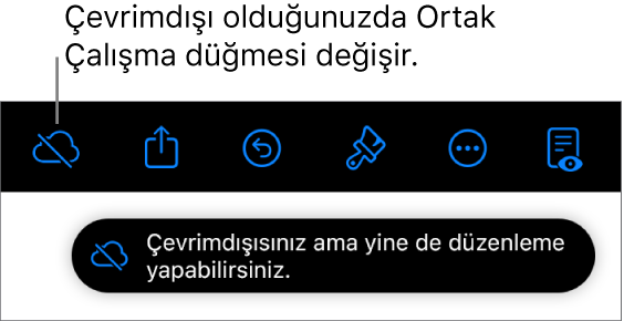 Ekranın en üstündeki düğmeler; Ortak Çalışma düğmesi, üzerinde çapraz bir çizgi olan bir buluta değişmiş. Ekrandaki bir uyarı “Çevrimdışısınız ama yine de düzenleyebilirsiniz” der.