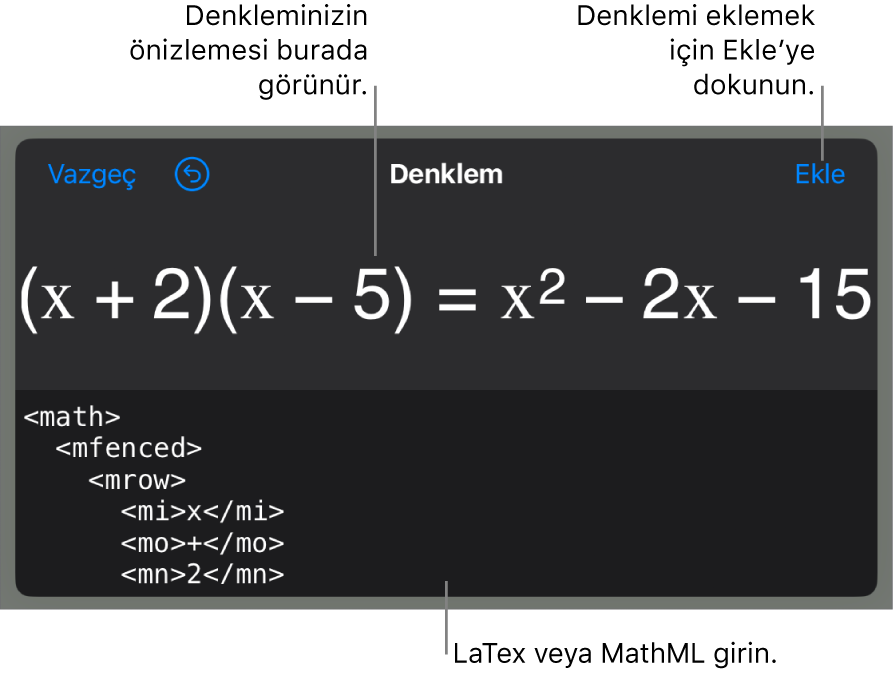 MathML komutları kullanılarak yazılmış bir denklemi ve onun üstünde formülün önizlemesini gösteren Denklem sorgu kutusu.