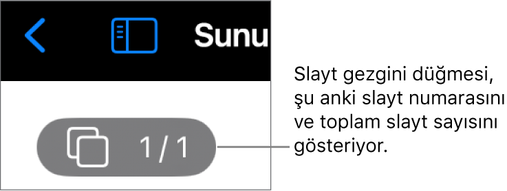 Şu anki slayt numarasını ve sunudaki toplam slayt sayısını gösteren slayt gezgini düğmesi.