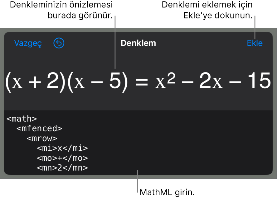 MathML komutları kullanılarak yazılmış bir denklemi ve onun üstünde formülün önizlemesini gösteren Denklem sorgu kutusu.