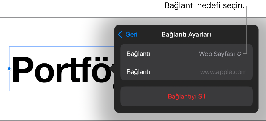 Bağlantı Ayarları denetimlerinde Web Sayfası seçili, en altta ise Bağlantıyı Sil düğmesi bulunuyor.