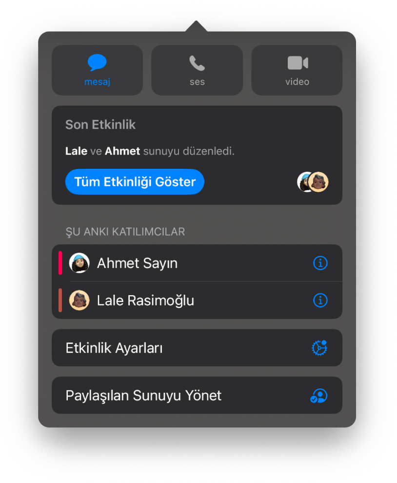Sunuda ortak çalışan kişilerin adlarını gösteren ortak çalışma menüsü.