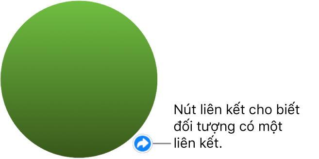 Vòng tròn màu lục có nút liên kết biểu thị rằng đối tượng có một liên kết.