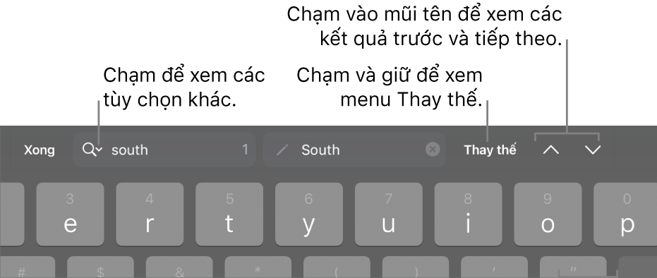 Các điều khiển Tìm & Thay thế bên trên bàn phím với chú thích đến các nút Tùy chọn tìm kiếm, Thay thế, Đi lên và Đi xuống.