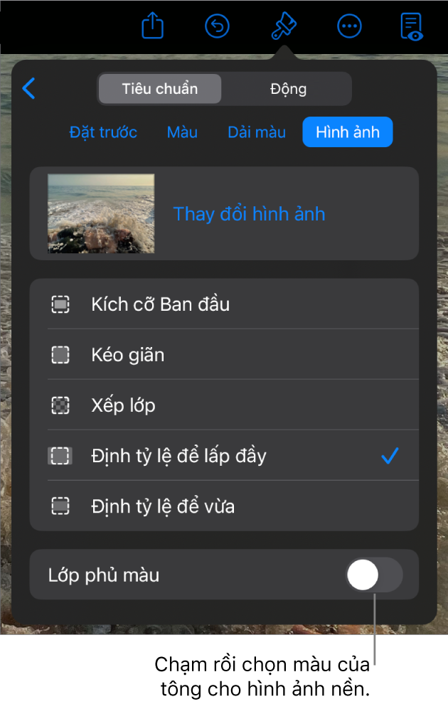 Các điều khiển Nền với hình ảnh được đặt dưới dạng nền trang chiếu và điều khiển Lớp phủ màu ở dưới cùng.