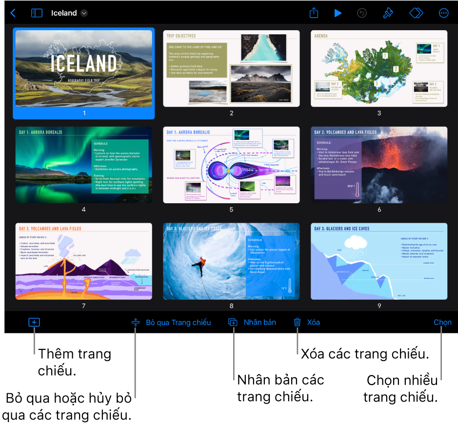 Bảng hình thu nhỏ với các nút ở cuối màn hình để thêm, bỏ qua, nhân bản và xóa các trang chiếu cũng như để chọn nhiều trang chiếu.