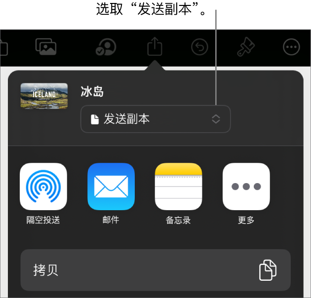 顶部已选中“发送副本”的“共享”菜单。