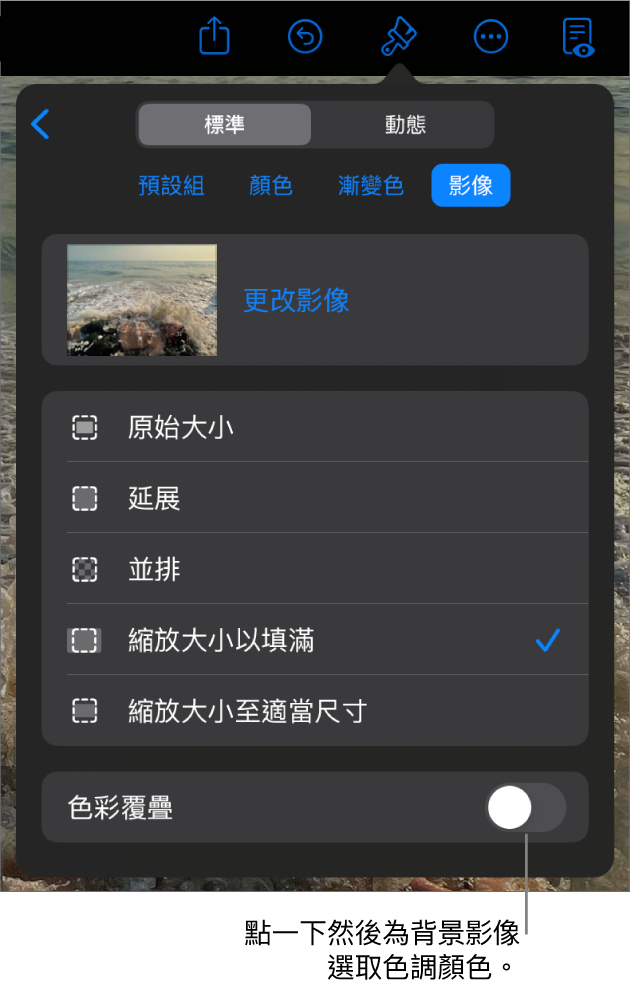 「背景」控制項目，其中一個影像已設定為幻燈片背景，且「色彩覆疊」控制項目位於底部。